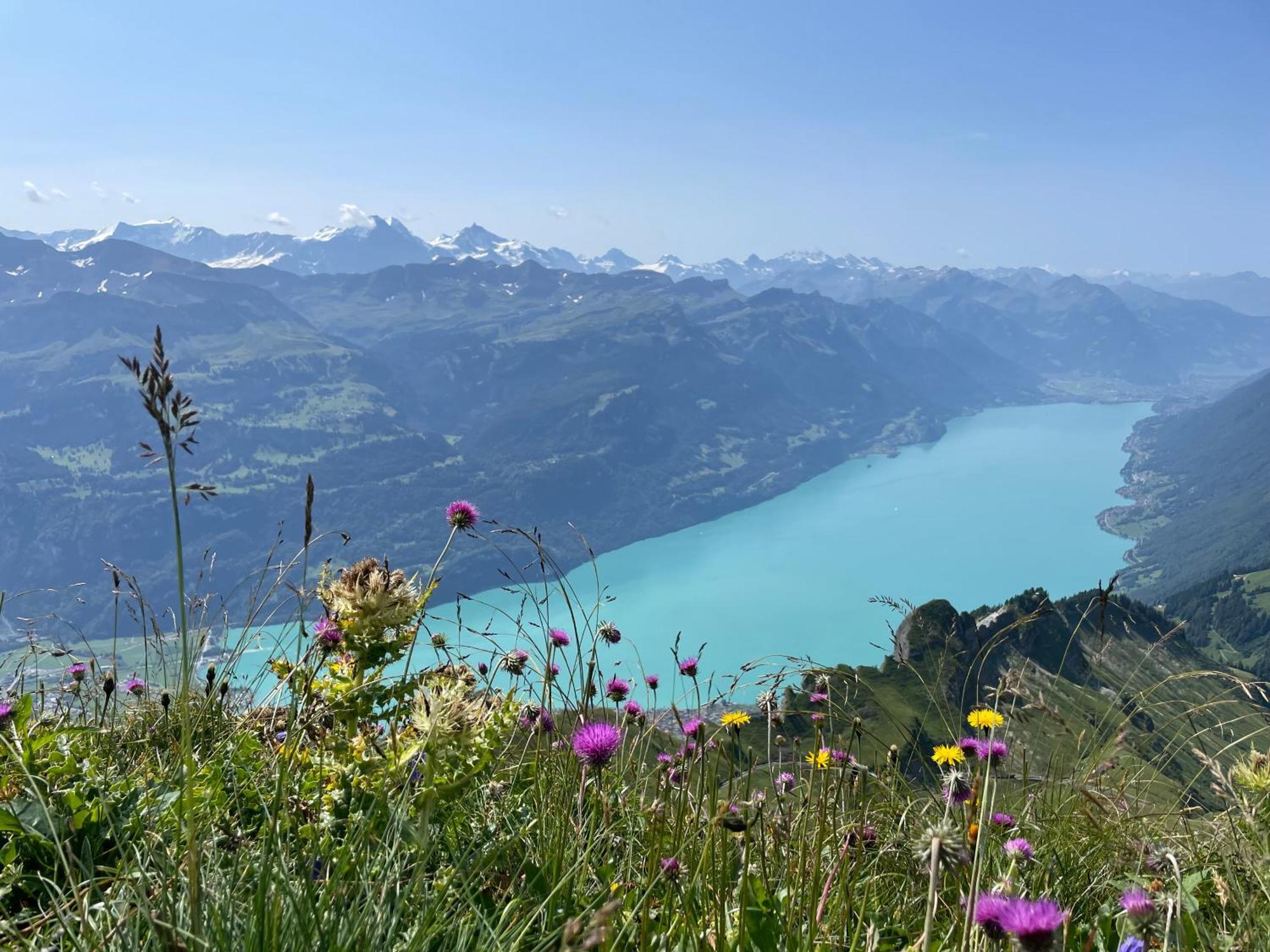 Romantic Lake & Mountain Apartment Pure Swissness Brienz  Bagian luar foto