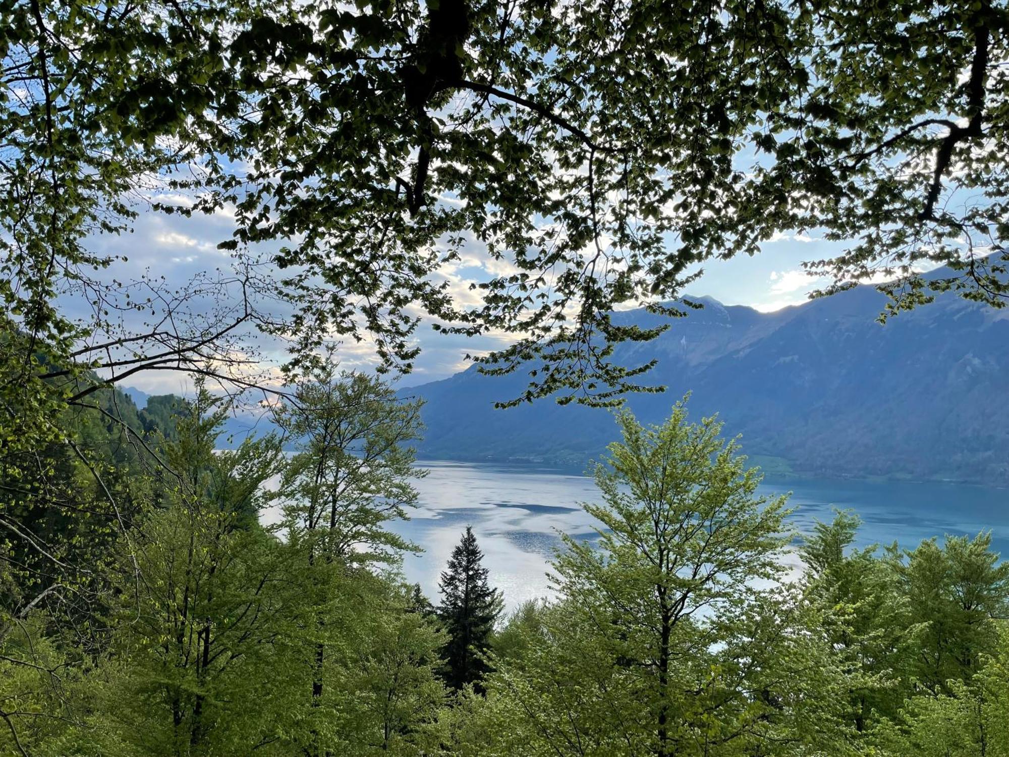 Romantic Lake & Mountain Apartment Pure Swissness Brienz  Bagian luar foto