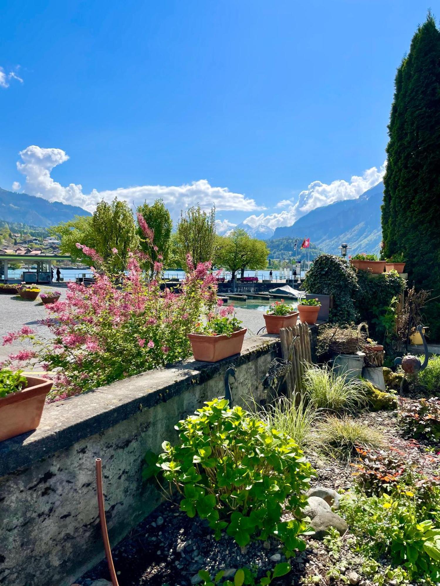 Romantic Lake & Mountain Apartment Pure Swissness Brienz  Bagian luar foto